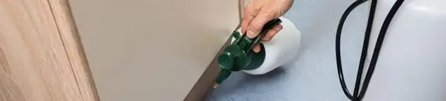 Bed bug exterminator treating baseboards and cracks with targeted spray in Tacoma, WA