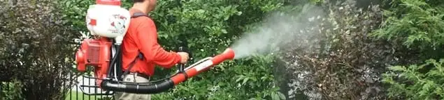 Mosquito control technician fogging shrubs and landscaping for mosquito treatment in Tacoma, WA
