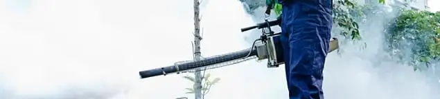 Pest control technician fogging an outdoor area for insect control in Tacoma, WA