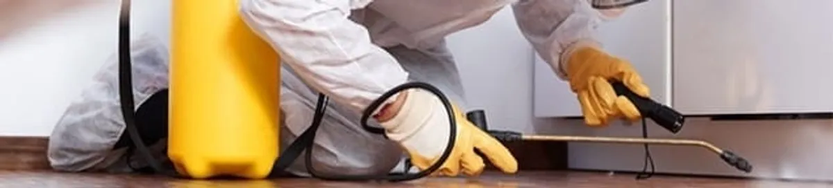 Roach exterminator treating cracks and crevices along kitchen baseboards in Tacoma, WA