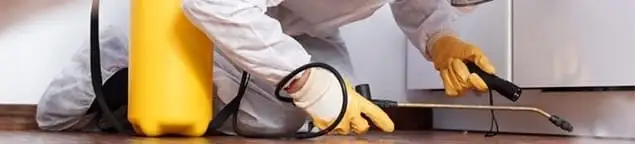 Roach exterminator treating cracks and crevices along kitchen baseboards in Tacoma, WA