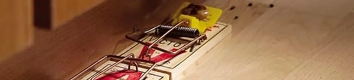 Rodent trap set indoors for rodent control and prevention in Tacoma, WA