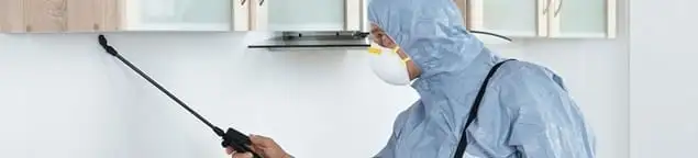 Termite treatment technician applying indoor pest control spray in Tacoma, WA